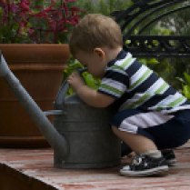 toddler is curious of watercan